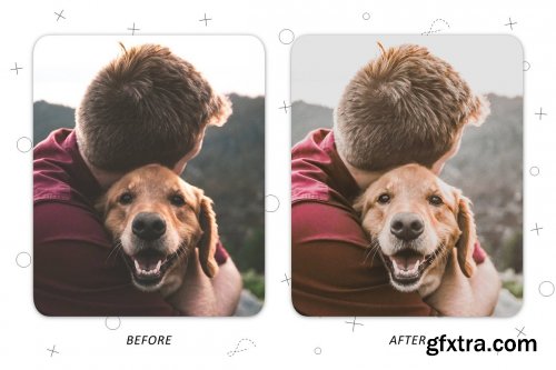 CreativeMarket - Faithful Friend - Lightroom Presets 5227534