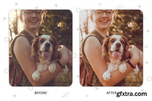 CreativeMarket - Faithful Friend - Lightroom Presets 5227534