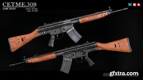 C.308 ASSAULT RIFLE