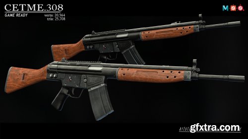 C.308 ASSAULT RIFLE