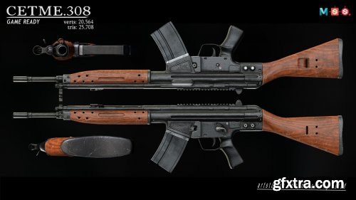 C.308 ASSAULT RIFLE