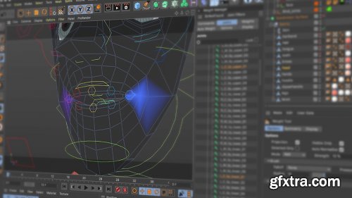 Cineversity - Face Rig Tutorial