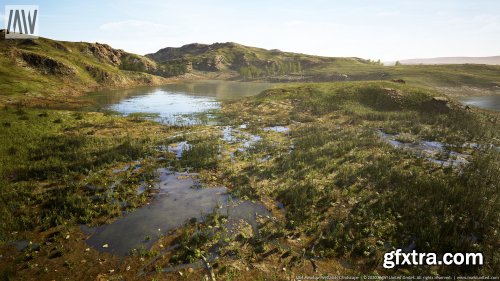 Meadow Wetlands Landscape