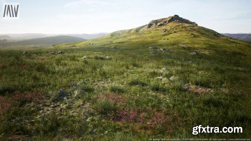 Meadow Wetlands Landscape