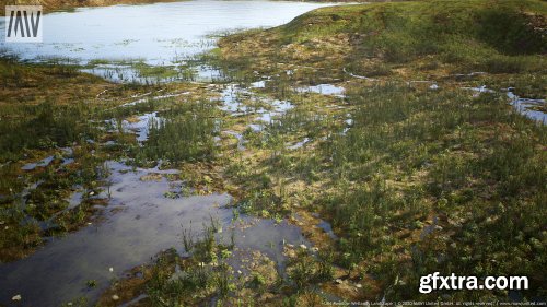 Meadow Wetlands Landscape