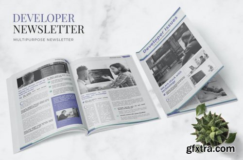 Developer Issue Newsletter