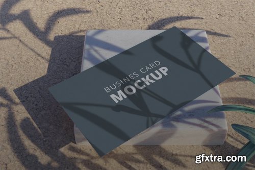 Realistic Business Card Mockup Vol 5