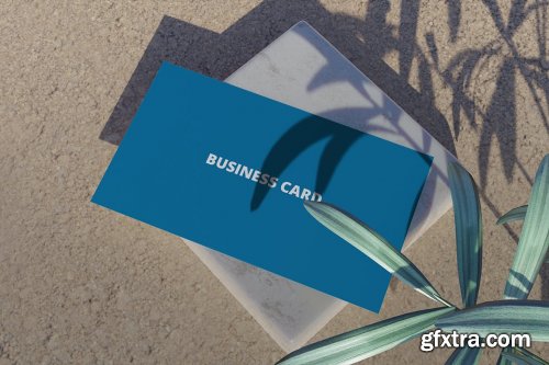 Realistic Business Card Mockup Vol 5