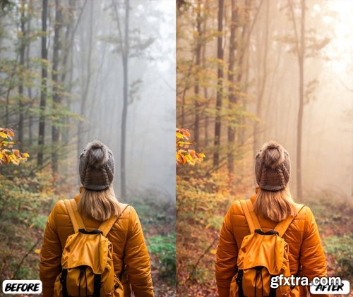 CreativeMarket - The Autumn Lightroom Presets 5506478