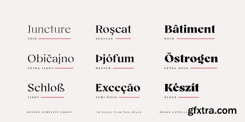 Bovino Font Family