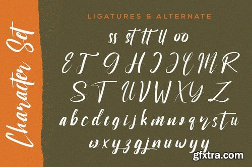 Degrasi - Brush Script Font