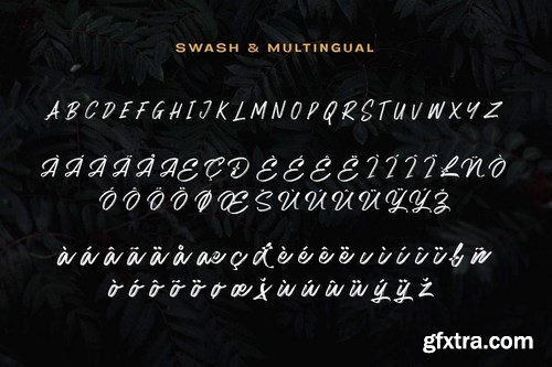 Matriver - Brush Font Logotype