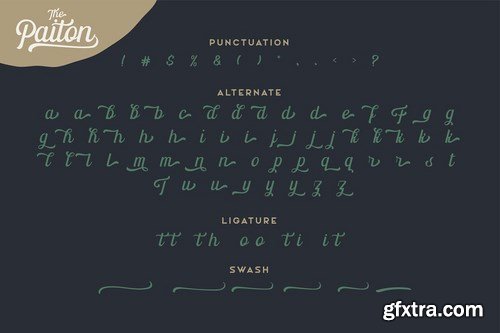 CM - The Paiton Modern Script Font 5509358