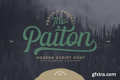 CM - The Paiton Modern Script Font 5509358