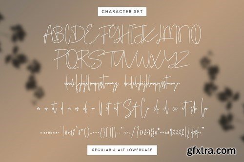 Ameriondela Luxury Classy Font