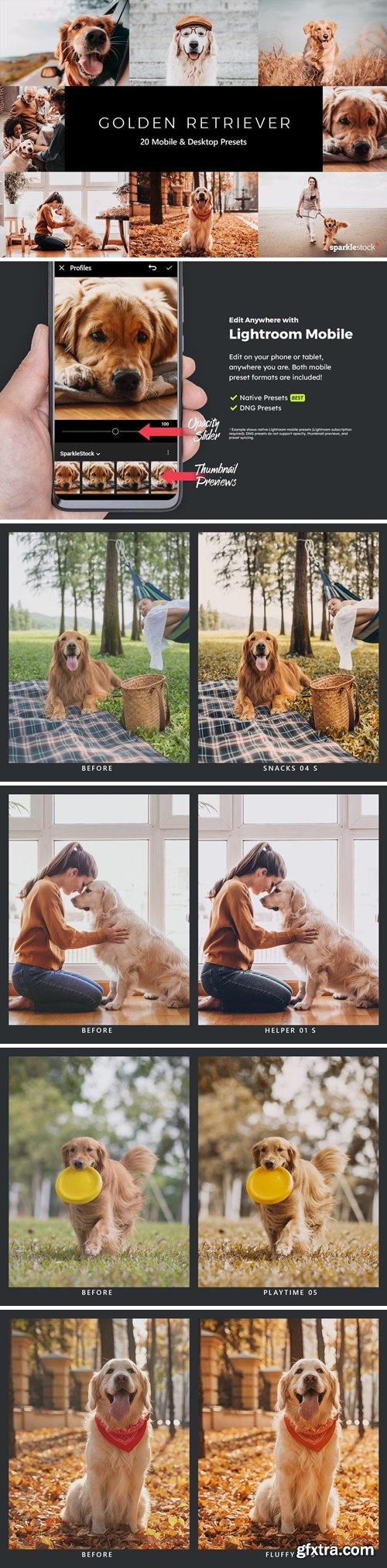 20 Golden Retriever Lightroom Presets & LUTs