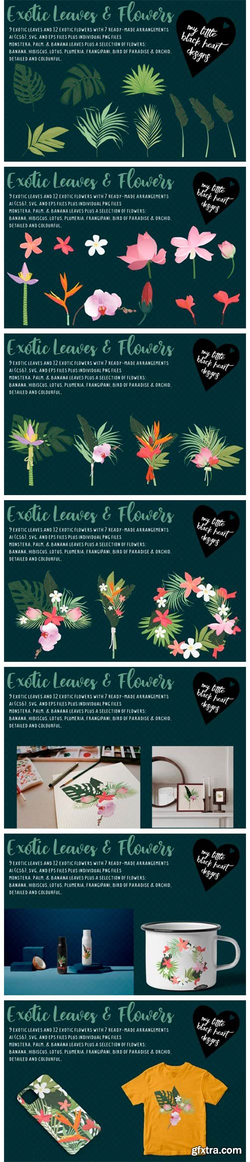 Exotic Leaves and Flowers 6591520