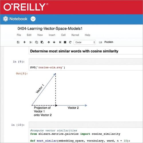 Oreilly - Learning Vector Space Models with SpaCy - 9781491986042