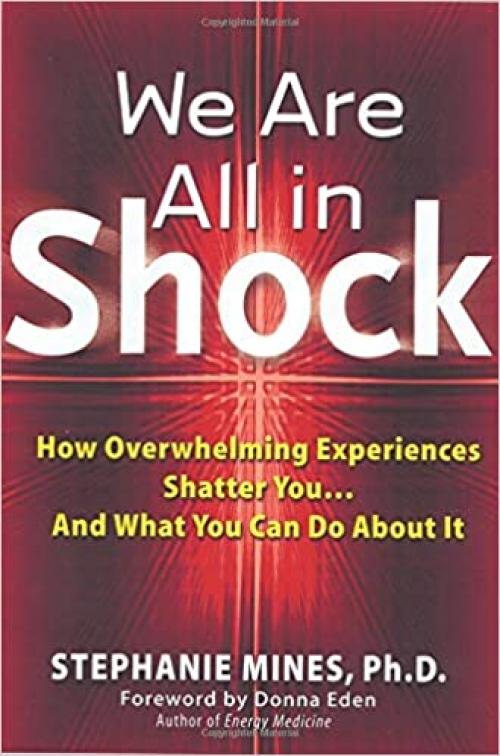  We Are All In Shock: How Overwhelming Experiences Shatter You...And What You Can Do About It 