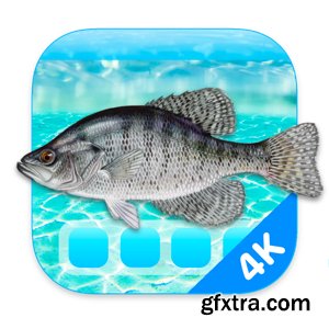 Aquarium 4K - Live Wallpaper 1.0.4 MAS