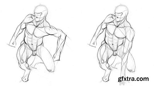 PROKO - Anatomy of the Human Body for Artists: The Basics