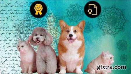 Fully Accredited Animal Reiki Practitioner Certification