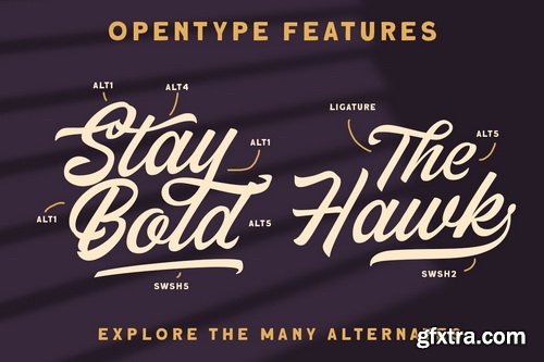 CreativeMarket - Thirtylane - Modern Script - 5609145