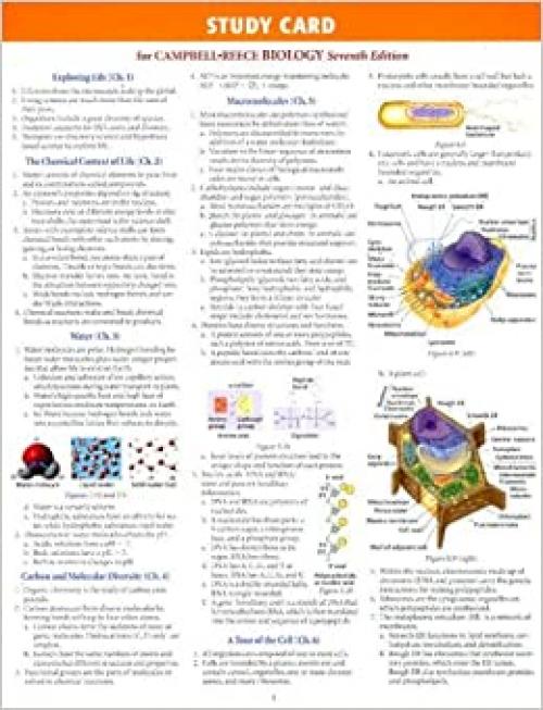  Study Card for Campbell-Reece Biology Seventh Edition 