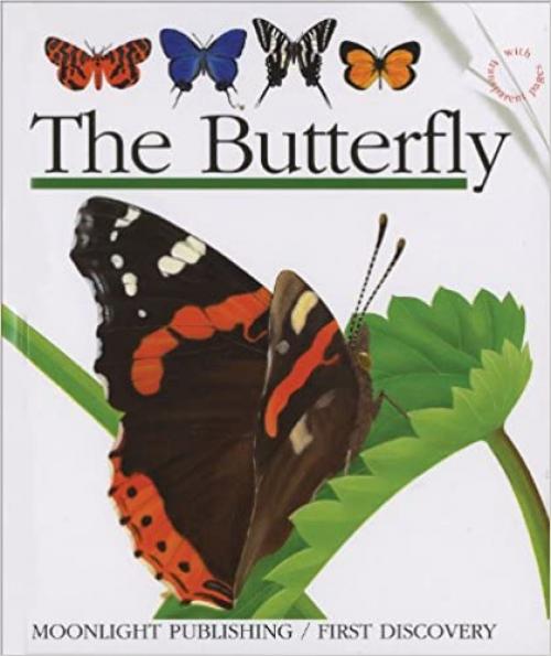  The Butterfly (First Discovery Series) 