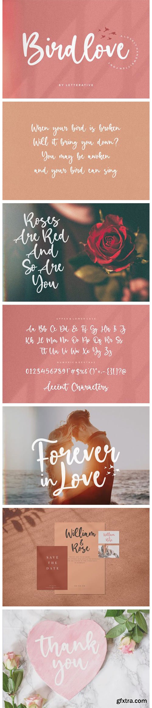 Birdlove Font