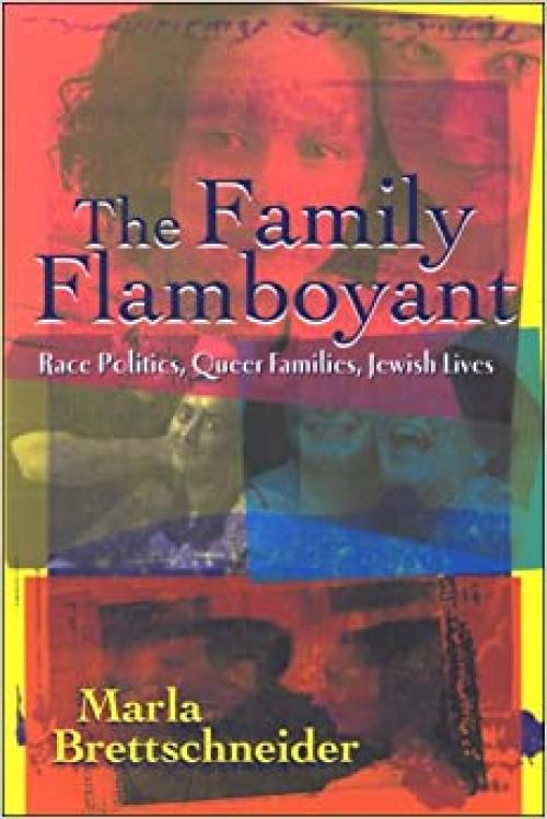  The Family Flamboyant: Race Politics, Queer Families, Jewish Lives (SUNY series in Feminist Criticism and Theory) 