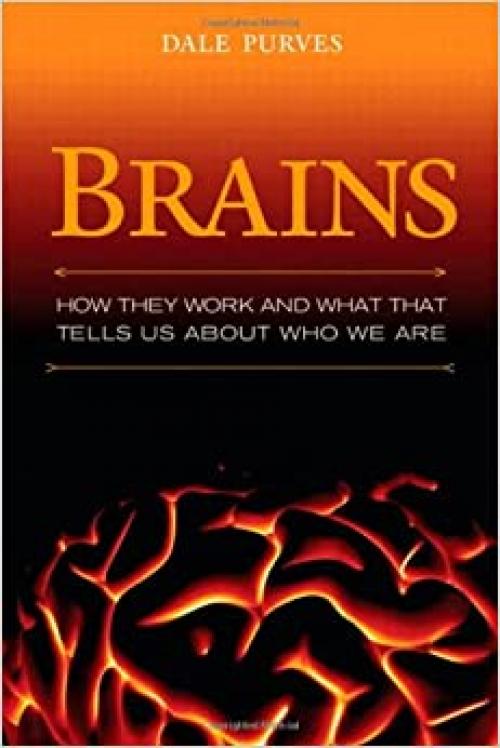  Brains: How They Seem To Work 