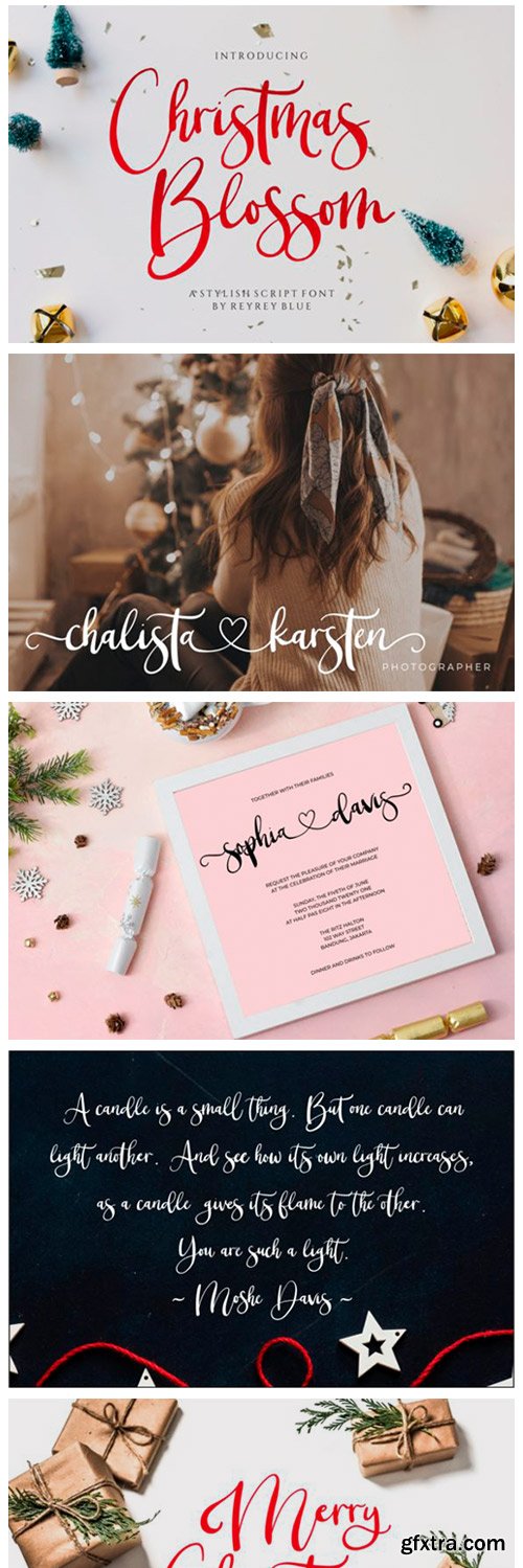 Christmas Blossom Font