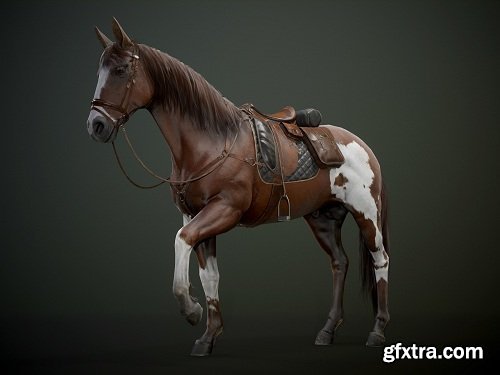 Ready Horse V2 3D Model