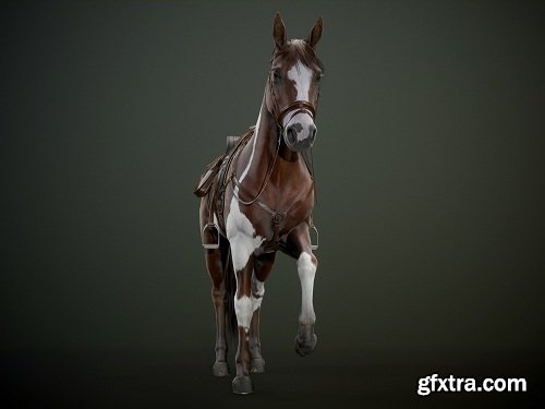 Ready Horse V2 3D Model