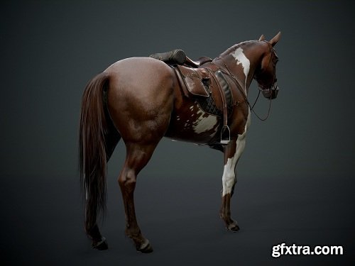 Ready Horse V2 3D Model