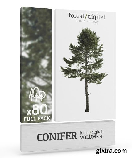 Forest Digital vol. 4 - Conifer Cutout Trees