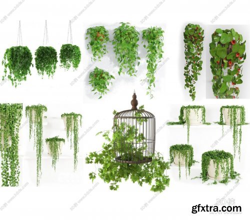 Hanging Plants combination 3d model