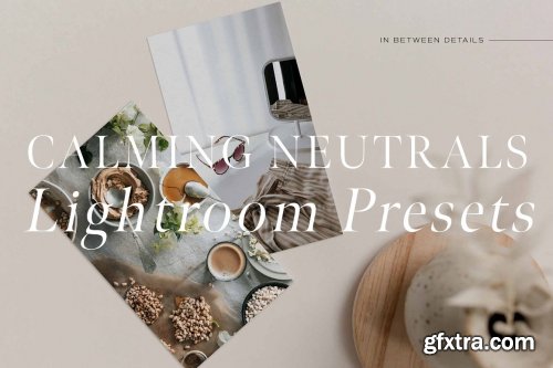 CreativeMarket - Calming Neutrals Lightroom Presets 4935953