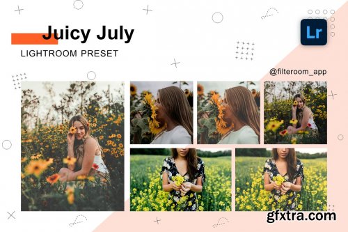 CreativeMarket - Juicy July - Lightroom Presets 5236497