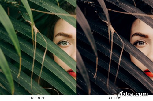 CreativeMarket - 10 Dark Moody Lightroom Presets 5516123