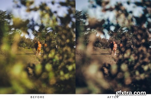 CreativeMarket - 10 Dark Moody Lightroom Presets 5516123