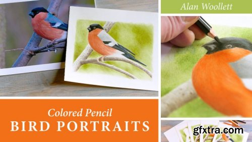 Colored Pencil Bird Portraits