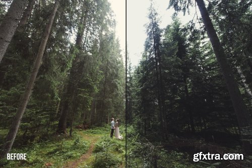 K1 Forest Pack Presets