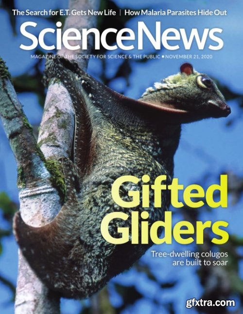 Science News - 21 November 2020