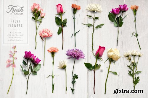 CreativeMarket - Fresh & Dried Flower Flat Lay 5350737