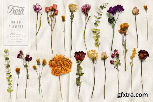 CreativeMarket - Fresh & Dried Flower Flat Lay 5350737