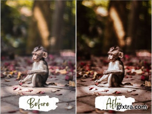 CreativeMarket - Bali Lightroom Presets 5580991