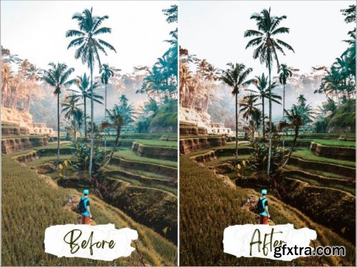 CreativeMarket - Bali Lightroom Presets 5580991