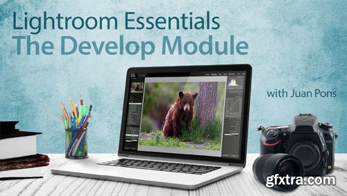  Lightroom Essentials: The Develop Module 